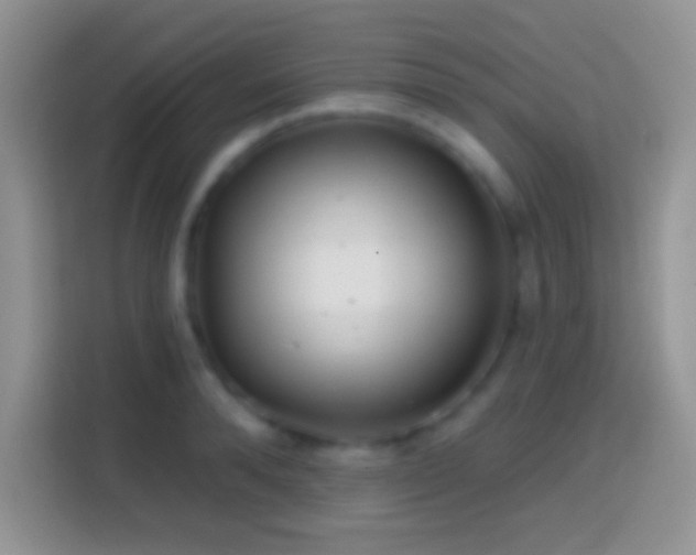 X0000113860896200910011019
