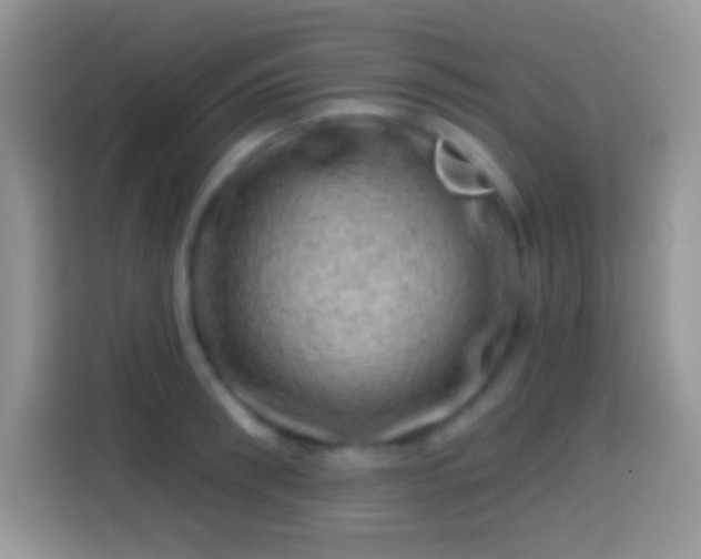 X0000113860898200910011019