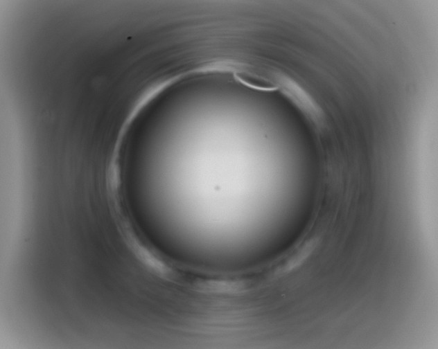 X0000113860900200910011019