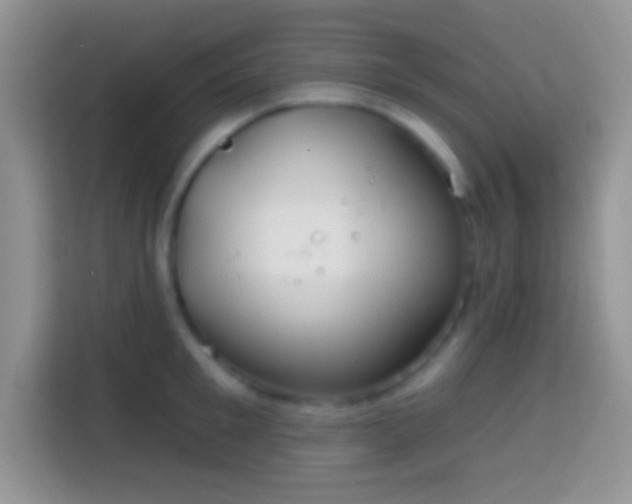X0000113860901200910011019
