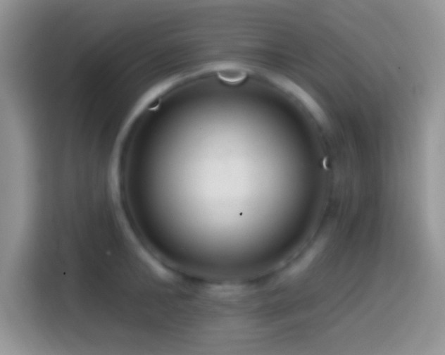 X0000113860902200910011019