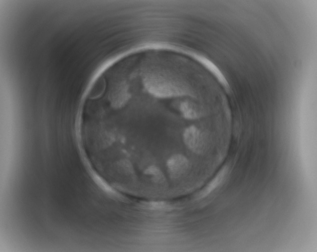 X0000113860903200910011019