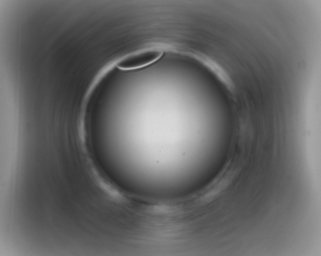 X0000113860904200910011019