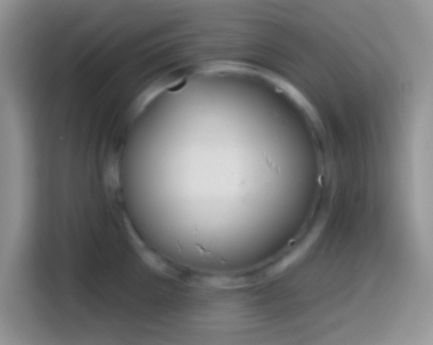 X0000113860905200910011019
