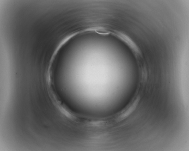 X0000113860908200910011019