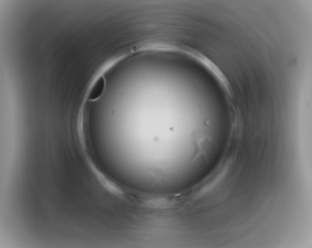 X0000113860909200910011019