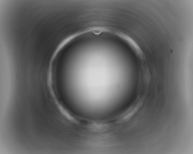 X0000113860910200910011019