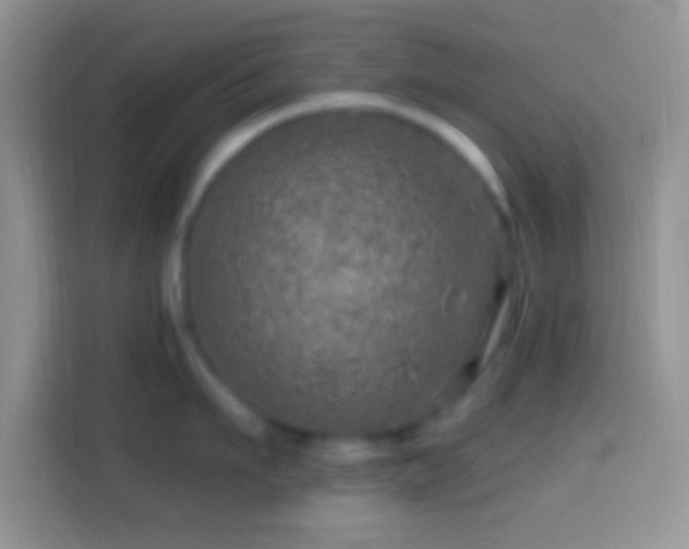 X0000113860911200910011019