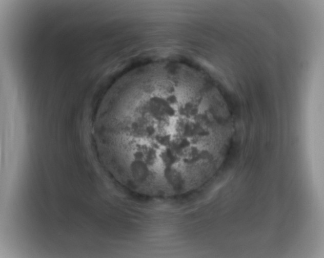 X0000113860913200910011018