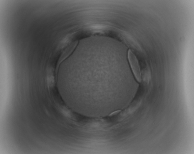 X0000113860916200910011018