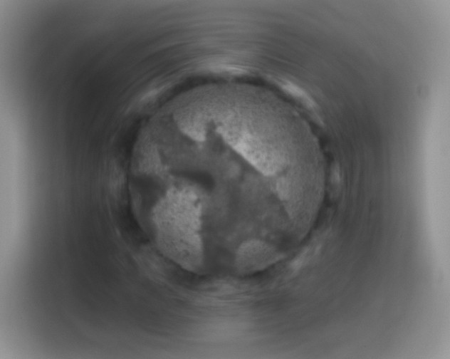 X0000113860917200910011018