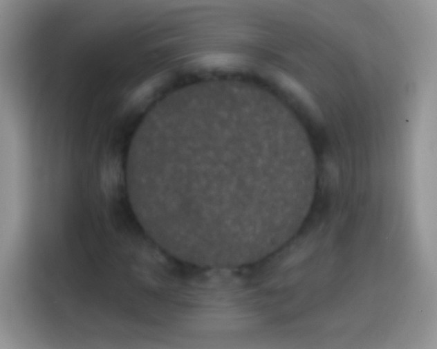 X0000113860918200910011018