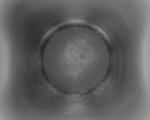 X0000113860919200910011018