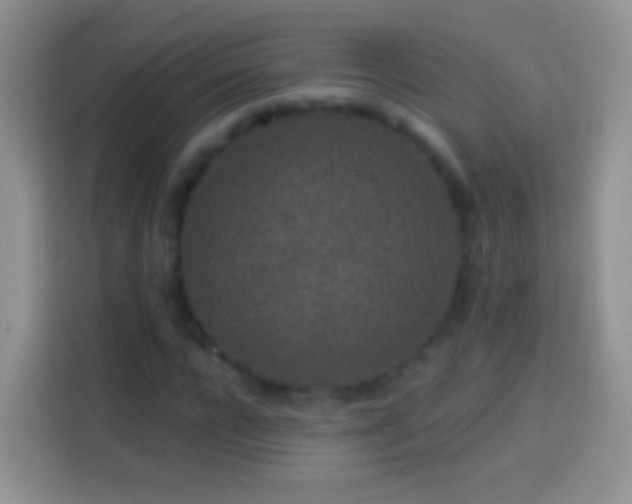 X0000113860920200910011018