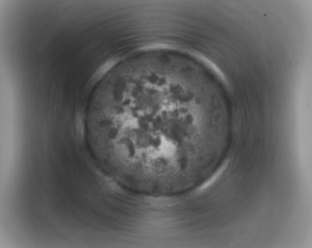 X0000113860921200910011018