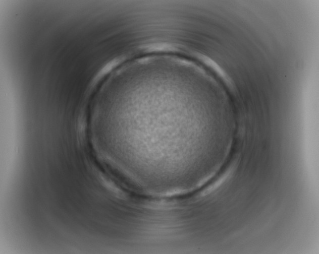 X0000113860922200910011018
