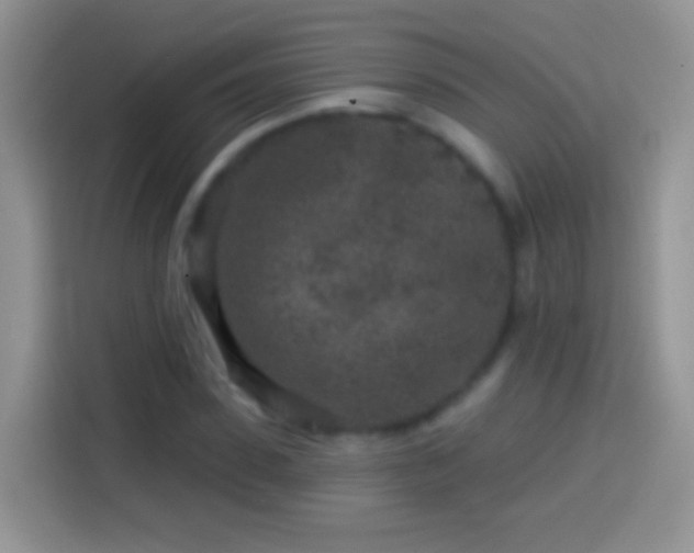 X0000113860923200910011018
