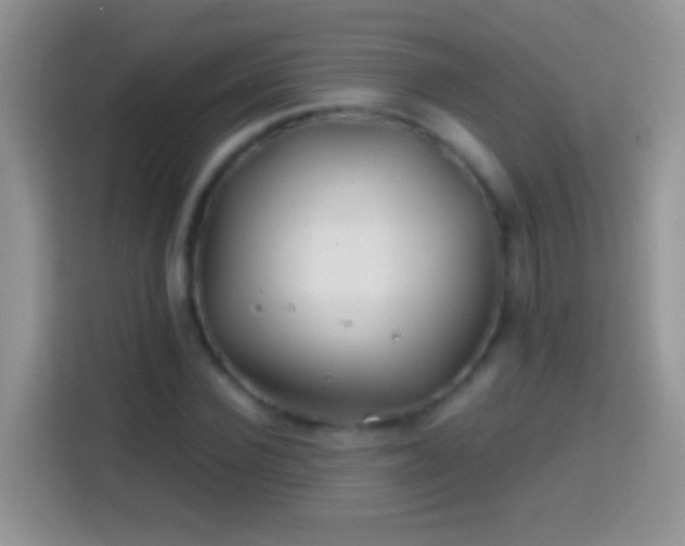 X0000113860924200910011018
