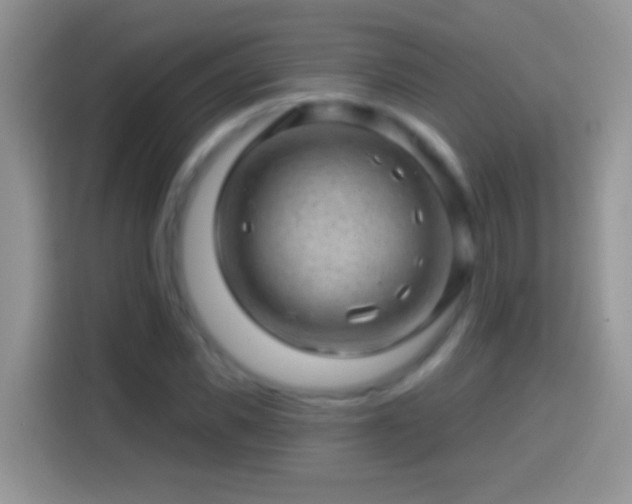 X0000113860925200910011018