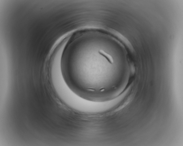 X0000113860926200910011018
