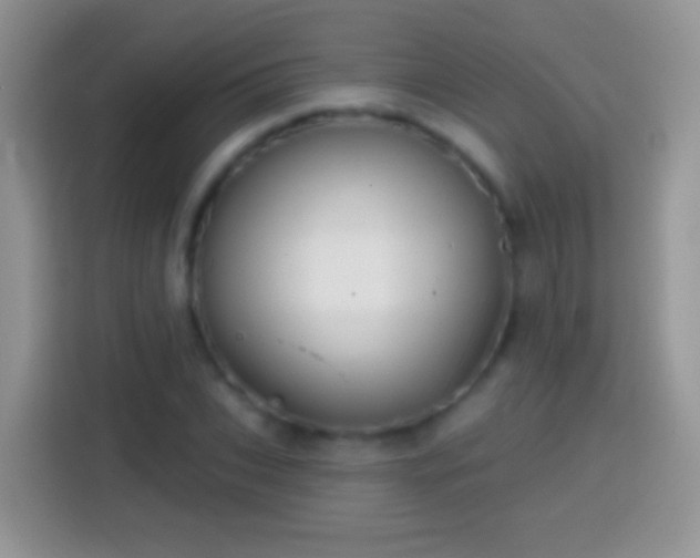 X0000113860927200910011018