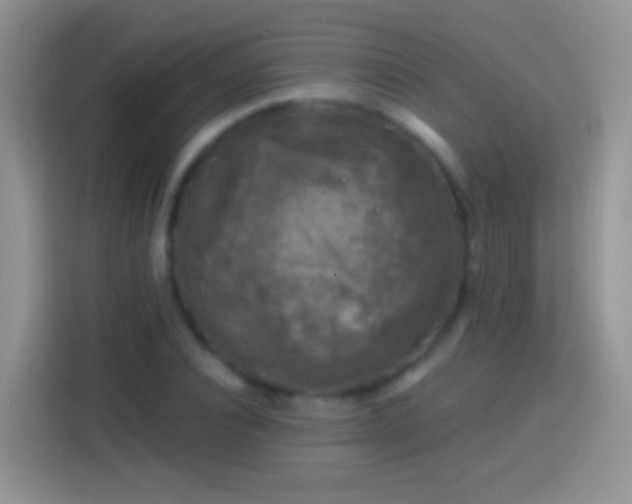 X0000113860928200910011018
