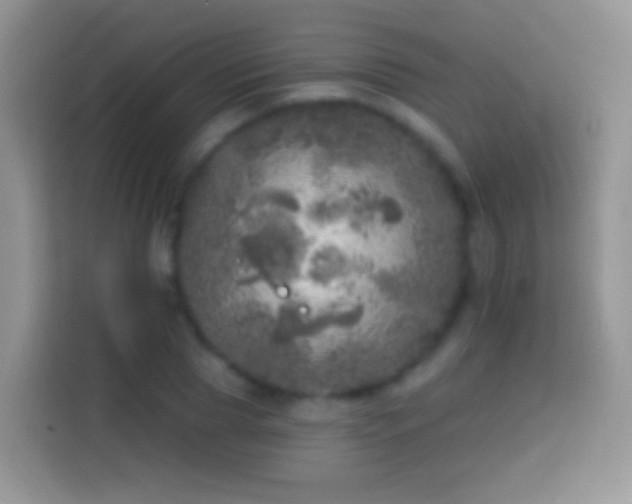 X0000113860929200910011018