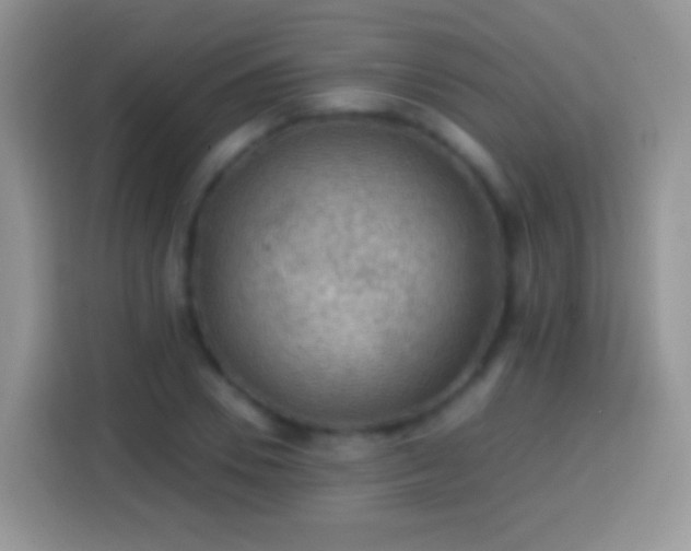 X0000113860930200910011018