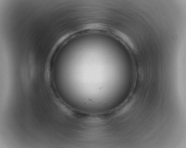 X0000113860931200910011018
