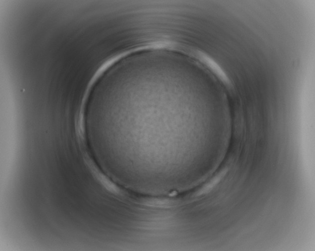 X0000113860932200910011018