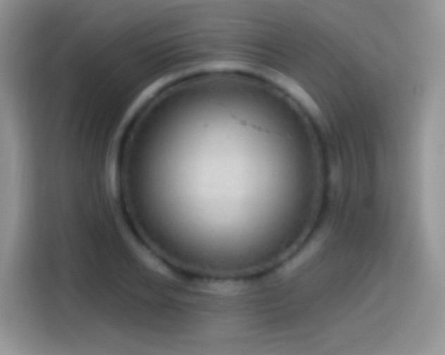 X0000113860934200910011018