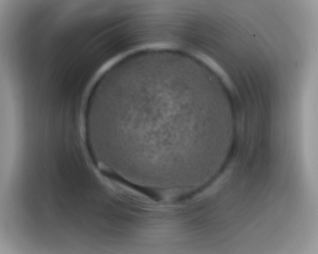 X0000113860935200910011018