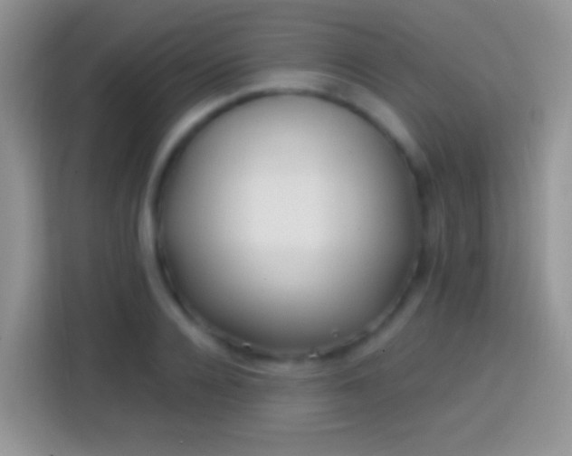 X0000113860936200910011018