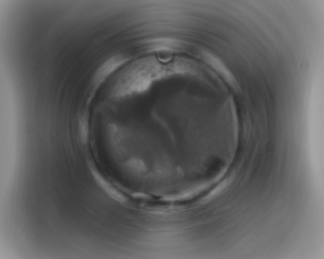 X0000113860938200910011018
