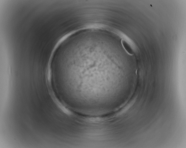 X0000113860940200910011018
