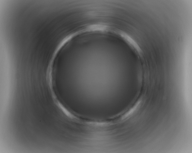 X0000113860941200910011018