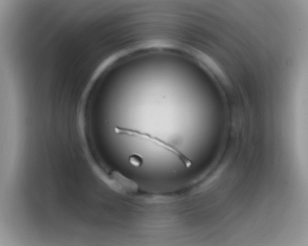 X0000113860942200910011018