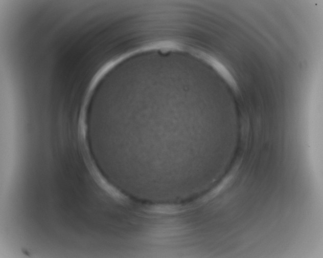 X0000113860944200910011018