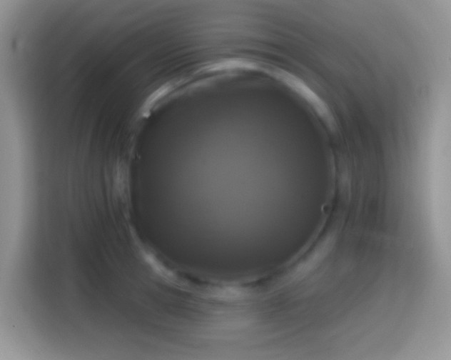 X0000113860945200910011018