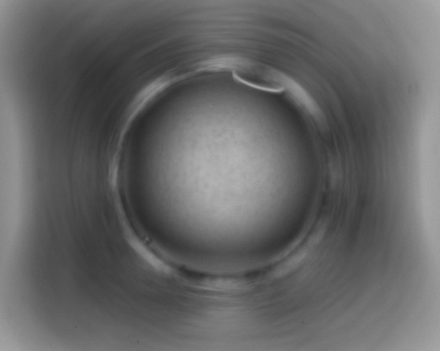 X0000113860946200910011018