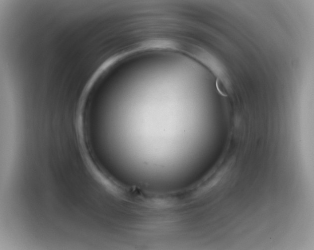 X0000113860947200910011018