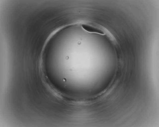 X0000113860948200910011018