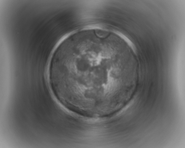 X0000113860949200910011018