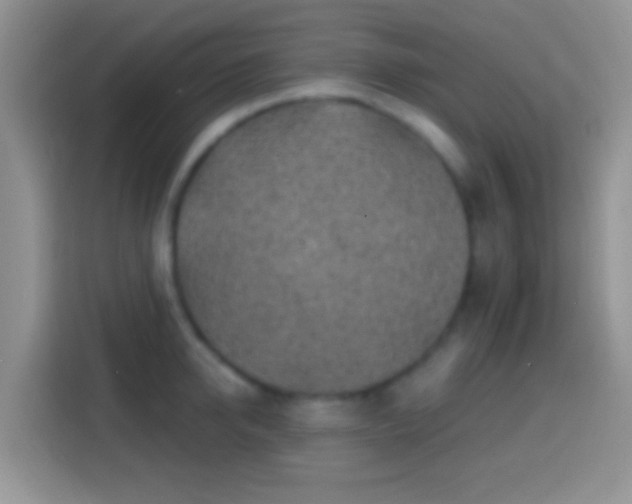 X0000113860950200910011018