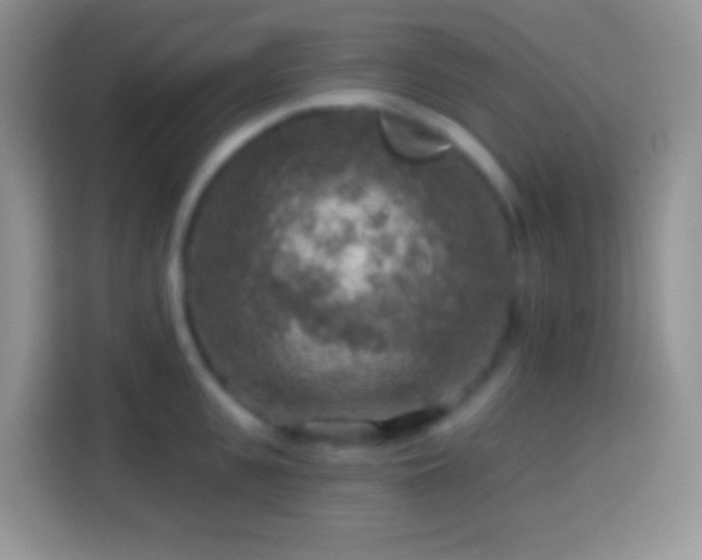 X0000113860951200910011018