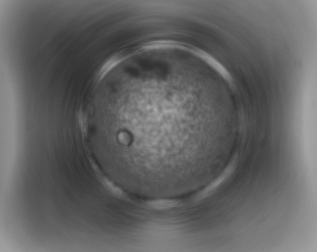 X0000113860953200910011019