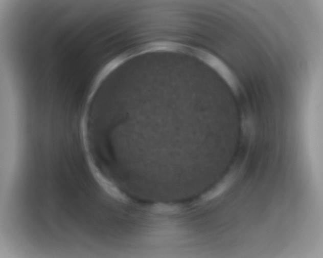 X0000113860954200910011019