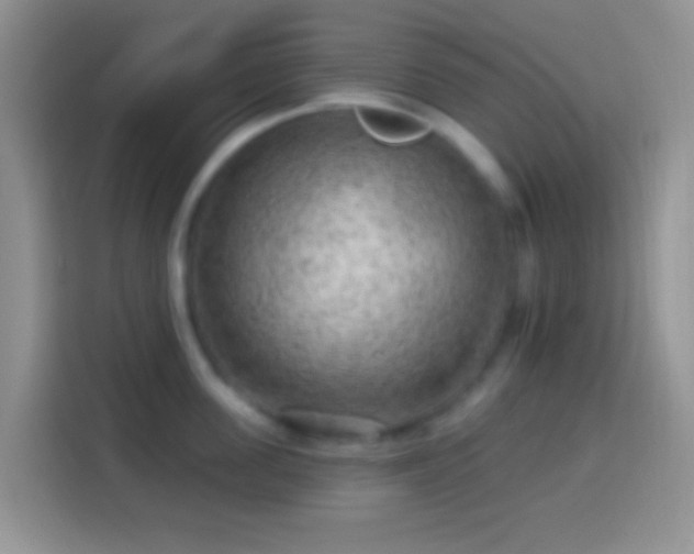 X0000113860955200910011019