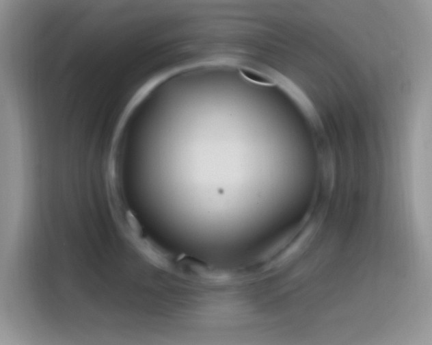 X0000113860956200910011019