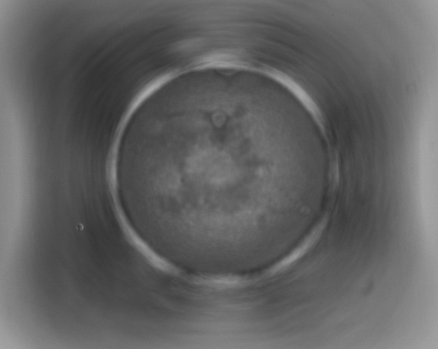 X0000113860957200910011019